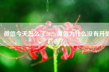 微信今天怎么了2021(微信为什么没有开屏广告？)