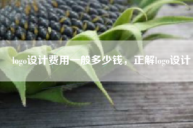 logo设计费用一般多少钱，正解logo设计