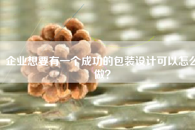 企业想要有一个成功的包装设计可以怎么做？