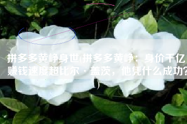 拼多多黄峥身世(拼多多黄峥：身价千亿，赚钱速度超比尔·盖茨，他凭什么成功？)