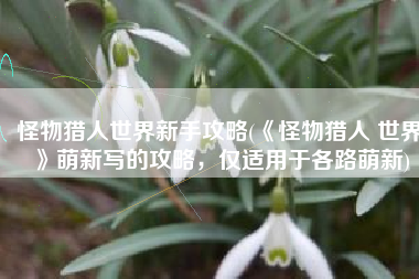 怪物猎人世界新手攻略(《怪物猎人 世界》萌新写的攻略，仅适用于各路萌新)