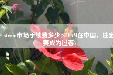 steam市场手续费多少(STEAM在中国，注定要成为过客)