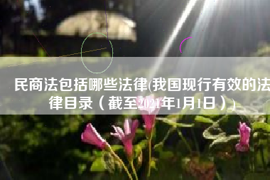 民商法包括哪些法律(我国现行有效的法律目录（截至2021年1月1日）)