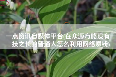 一点资讯自媒体平台(在众源方略没有一技之长的普通人怎么利用网络赚钱)