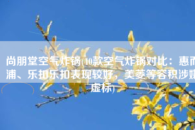 尚朋堂空气炸锅(40款空气炸锅对比：惠而浦、乐扣乐扣表现较好，美菱等容积涉嫌虚标)
