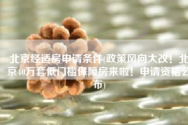 北京经适房申请条件(政策风向大改！北京40万套低门槛保障房来啦！申请资格公布)