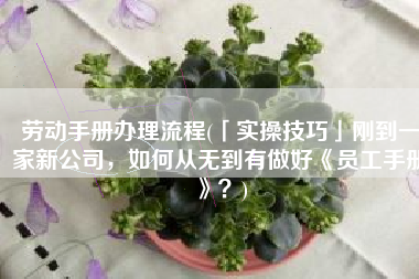 劳动手册办理流程(「实操技巧」刚到一家新公司，如何从无到有做好《员工手册》？)