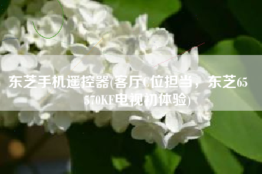 东芝手机遥控器(客厅C位担当，东芝65吋Z570KF电视初体验)