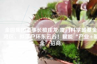 金圆集团董事长檀庄龙(厦门科学城基金湾区，拟落户环东云谷！赋能“产业+基金”招商)