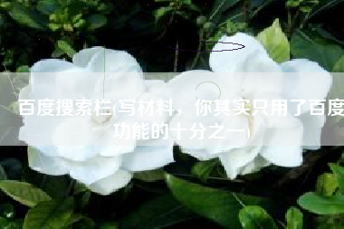 百度搜索栏(写材料，你其实只用了百度功能的十分之一)