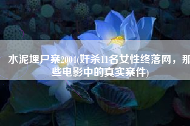 水泥埋尸案2004(奸杀11名女性终落网，那些电影中的真实案件)