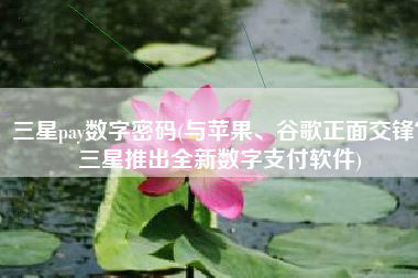 三星pay数字密码(与苹果、谷歌正面交锋？三星推出全新数字支付软件)