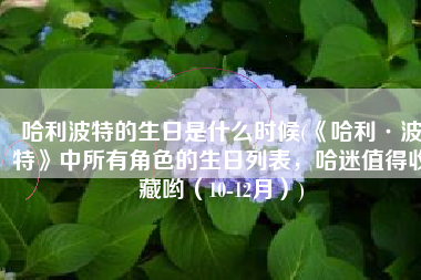 哈利波特的生日是什么时候(《哈利·波特》中所有角色的生日列表，哈迷值得收藏哟（10-12月）)