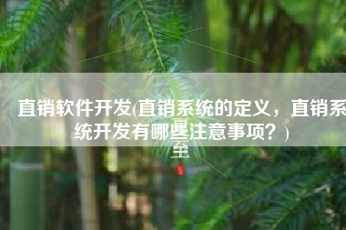 直销软件开发(直销系统的定义，直销系统开发有哪些注意事项？)