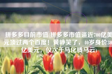 拼多多目前市值(拼多多市值逼近700亿美元顶过两个百度！黄峥笑了，40岁身价300亿美元，仅次于马化腾马云)