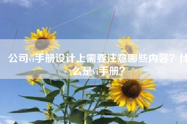 公司vi手册设计上需要注意哪些内容？什么是vi手册？