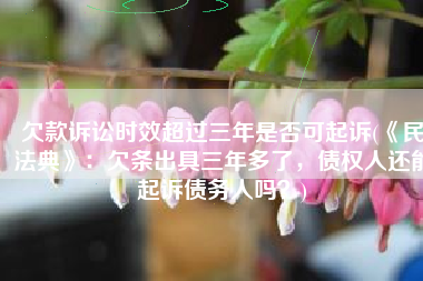 欠款诉讼时效超过三年是否可起诉(《民法典》：欠条出具三年多了，债权人还能起诉债务人吗？)