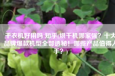 干衣机好用吗 知乎(烘干机哪家强？十大品牌爆款机型全部透秘！哪些产品值得入手？)