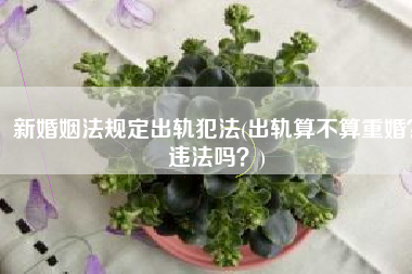 新婚姻法规定出轨犯法(出轨算不算重婚？违法吗？)