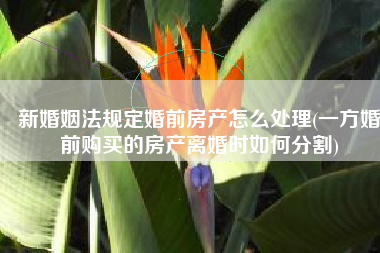新婚姻法规定婚前房产怎么处理(一方婚前购买的房产离婚时如何分割)