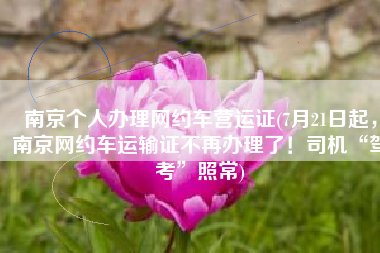 南京个人办理网约车营运证(7月21日起，南京网约车运输证不再办理了！司机“驾考”照常)