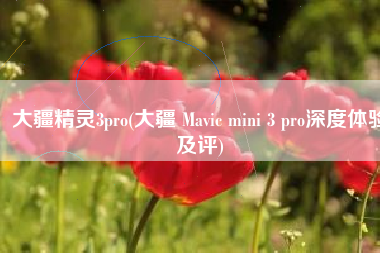 大疆精灵3pro(大疆 Mavic mini 3 pro深度体验及评)