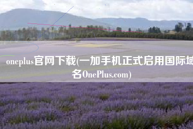 oneplus官网下载(一加手机正式启用国际域名OnePlus.com)