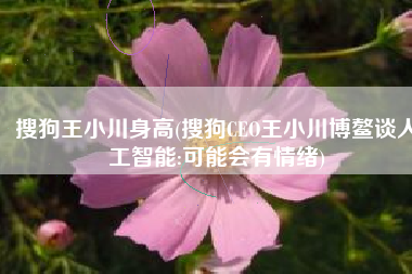 搜狗王小川身高(搜狗CEO王小川博鳌谈人工智能:可能会有情绪)