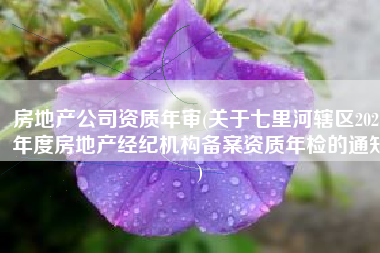 房地产公司资质年审(关于七里河辖区2021年度房地产经纪机构备案资质年检的通知)