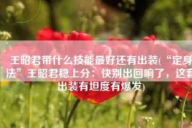 王昭君带什么技能最好还有出装(“定身法”王昭君稳上分：快别出回响了，这套出装有坦度有爆发)