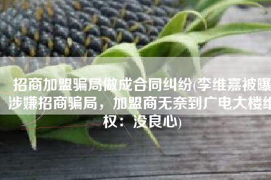招商加盟骗局做成合同纠纷(李维嘉被曝涉嫌招商骗局，加盟商无奈到广电大楼维权：没良心)