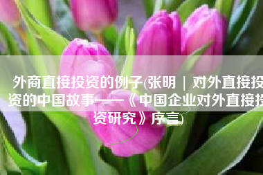 外商直接投资的例子(张明 | 对外直接投资的中国故事——《中国企业对外直接投资研究》序言)