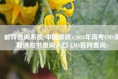 邮件查询系统(中国邮政)(2018年高考EMS录取通知书查询入口 EMS官网查询)