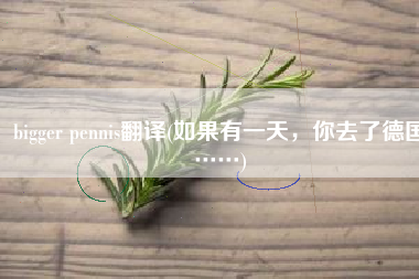 bigger pennis翻译(如果有一天，你去了德国……)