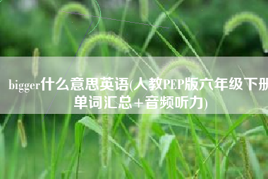 bigger什么意思英语(人教PEP版六年级下册单词汇总+音频听力)