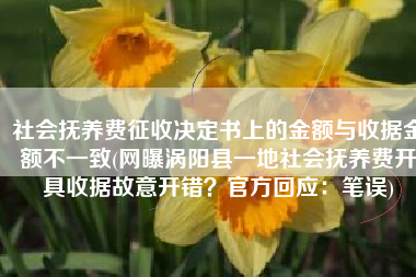 社会抚养费征收决定书上的金额与收据金额不一致(网曝涡阳县一地社会抚养费开具收据故意开错？官方回应：笔误)