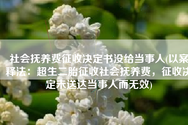 社会抚养费征收决定书没给当事人(以案释法：超生二胎征收社会抚养费，征收决定未送达当事人而无效)