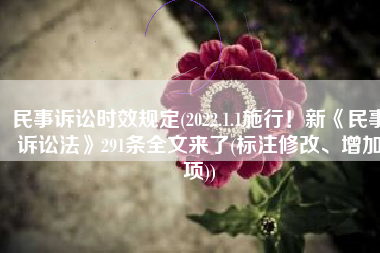 民事诉讼时效规定(2022.1.1施行！新《民事诉讼法》291条全文来了(标注修改、增加项))