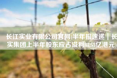 长江实业有限公司官网(半年报速递｜长实集团上半年股东应占溢利83.55亿港元)