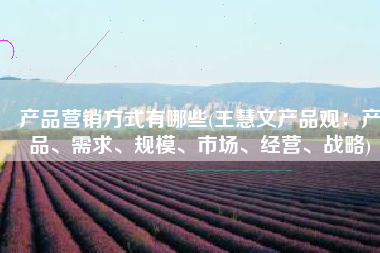 产品营销方式有哪些(王慧文产品观：产品、需求、规模、市场、经营、战略)
