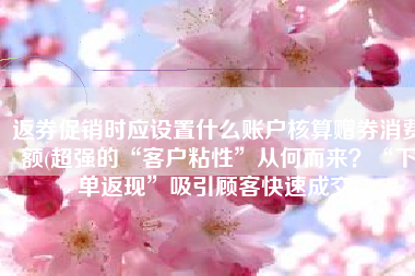 返券促销时应设置什么账户核算赠券消费额(超强的“客户粘性”从何而来？“下单返现”吸引顾客快速成交)