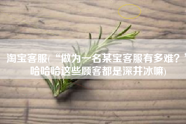 淘宝客服(“做为一名某宝客服有多难？”哈哈哈这些顾客都是深井冰嘛)