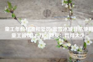 童工年龄标准和处罚(蜜雪冰城非法使用童工被罚1.25万，网友：罚得太少)