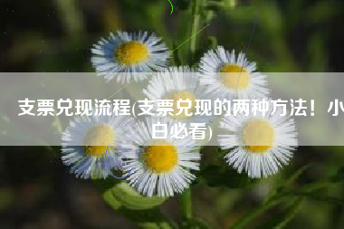 支票兑现流程(支票兑现的两种方法！小白必看)