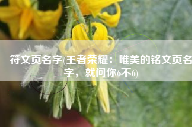 符文页名字(王者荣耀：唯美的铭文页名字，就问你6不6)