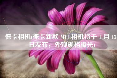 徕卡相机(徕卡新款 M11 相机将于 1 月 13 日发布，外观规格曝光)