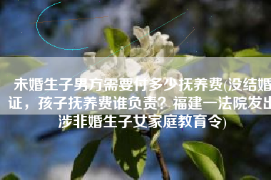 未婚生子男方需要付多少抚养费(没结婚证，孩子抚养费谁负责？福建一法院发出涉非婚生子女家庭教育令)
