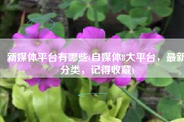 新媒体平台有哪些(自媒体8大平台，最新分类，记得收藏)