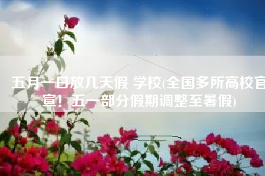 五月一日放几天假 学校(全国多所高校官宣！五一部分假期调整至暑假)