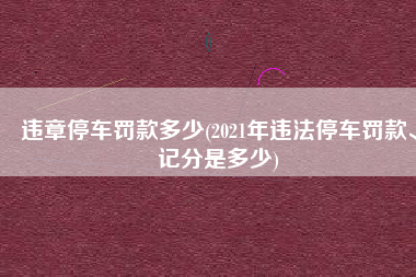违章停车罚款多少(2021年违法停车罚款、记分是多少)